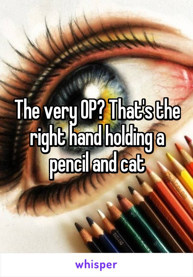 The very OP? That's the right hand holding a pencil and cat