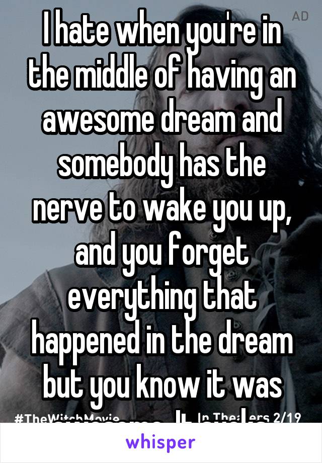 I hate when you're in the middle of having an awesome dream and somebody has the nerve to wake you up, and you forget everything that happened in the dream but you know it was awesome. It sucks.