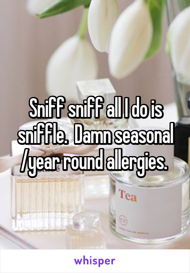 Sniff sniff all I do is sniffle.  Damn seasonal /year round allergies. 