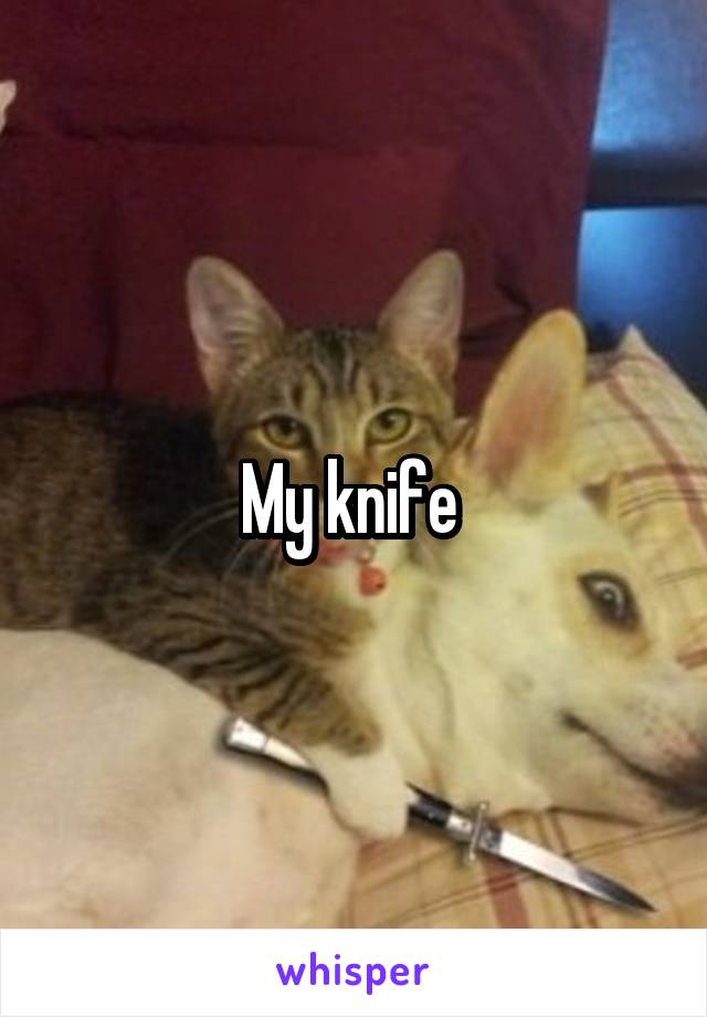 My knife 