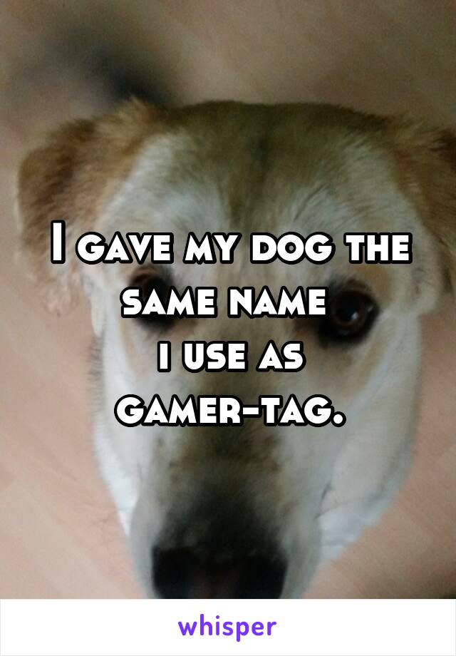 I gave my dog the same name 
i use as gamer-tag.