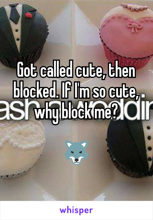 Got called cute, then blocked. If I'm so cute, why block me?

🐺