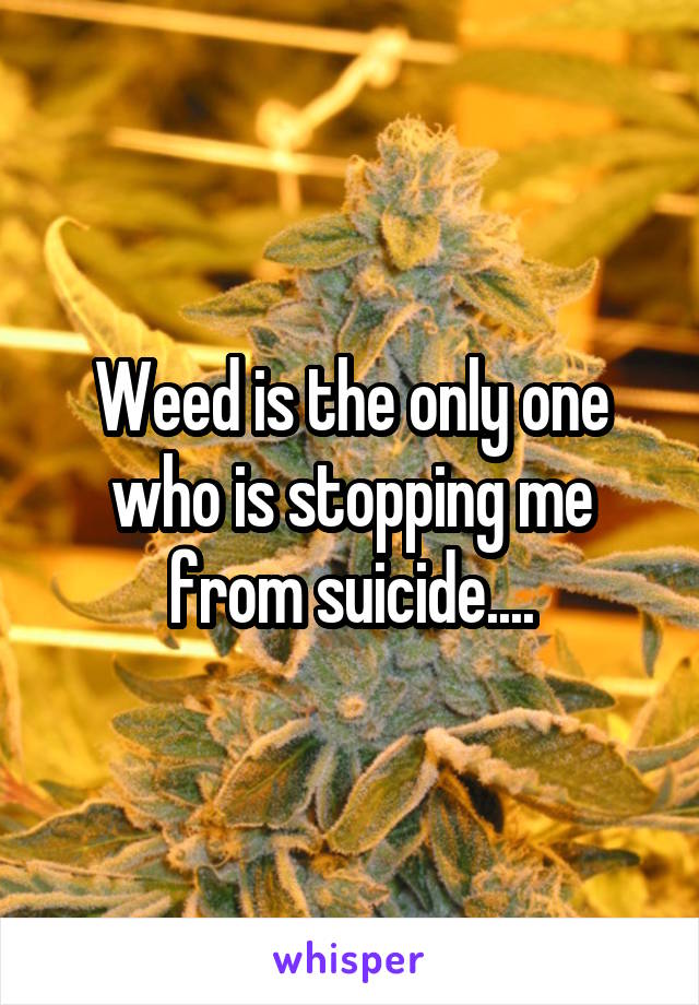 Weed is the only one who is stopping me from suicide....