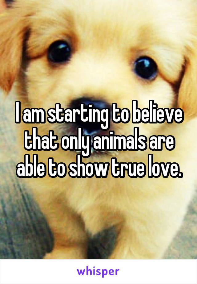 I am starting to believe that only animals are able to show true love.