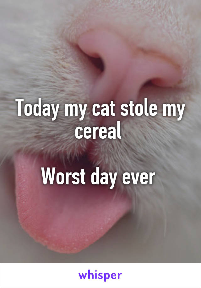 Today my cat stole my cereal 

Worst day ever 