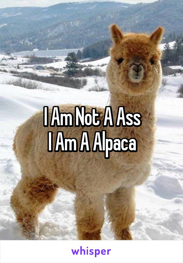 I Am Not A Ass
I Am A Alpaca