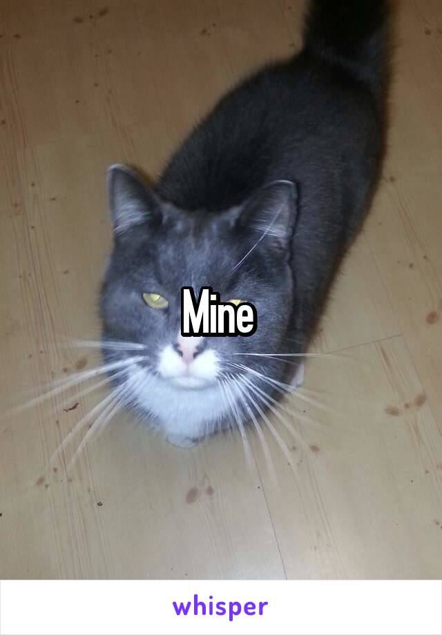 Mine 