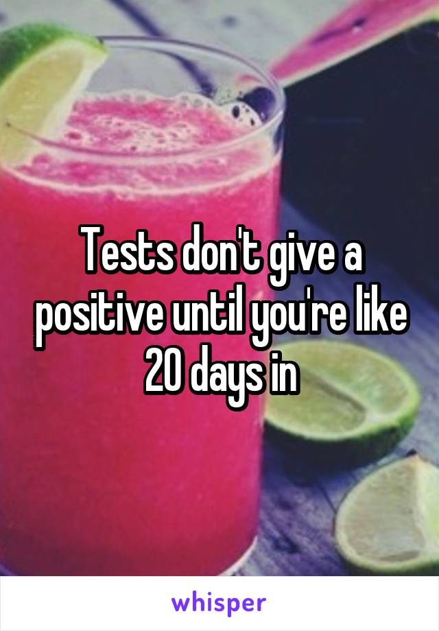 Tests don't give a positive until you're like 20 days in