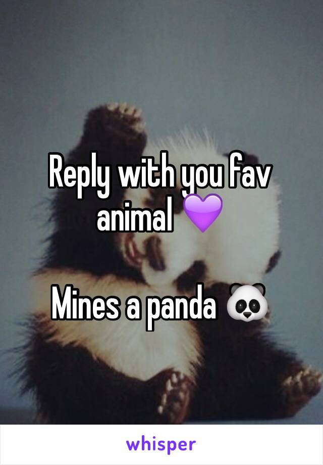 Reply with you fav animal 💜

Mines a panda 🐼