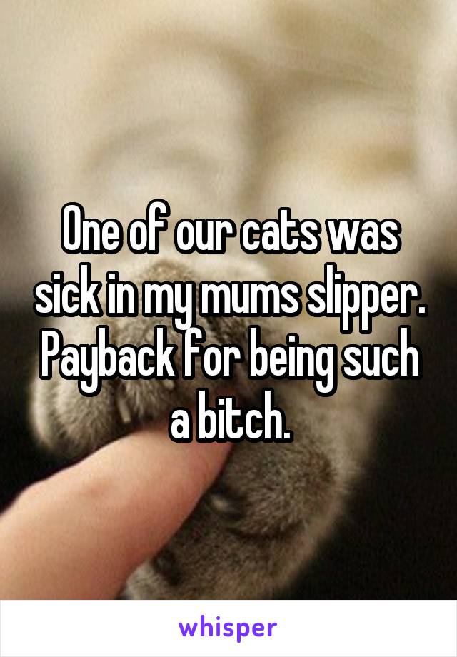 One of our cats was sick in my mums slipper.
Payback for being such a bitch.