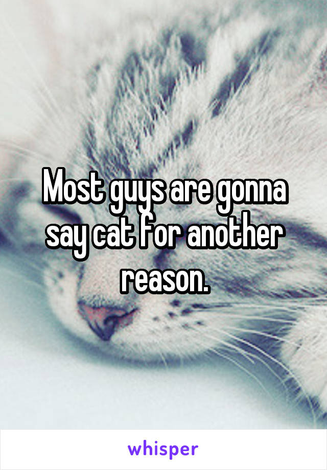 Most guys are gonna say cat for another reason.