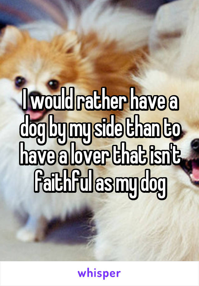 I would rather have a dog by my side than to have a lover that isn't faithful as my dog