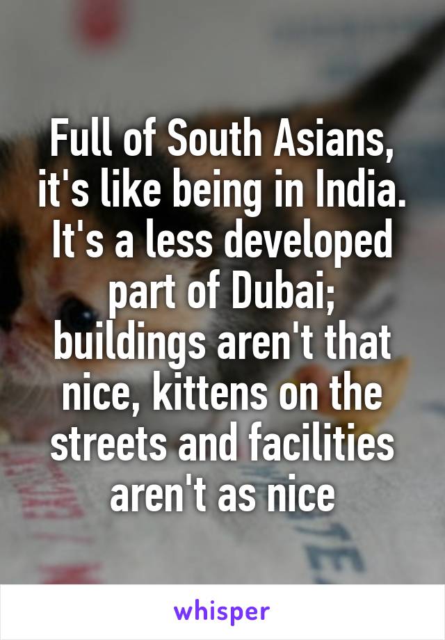 Full of South Asians, it's like being in India. It's a less developed part of Dubai; buildings aren't that nice, kittens on the streets and facilities aren't as nice