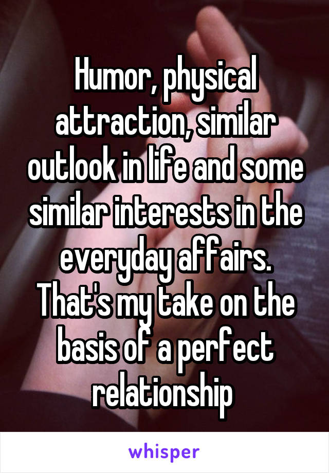 Humor, physical attraction, similar outlook in life and some similar interests in the everyday affairs. That's my take on the basis of a perfect relationship 