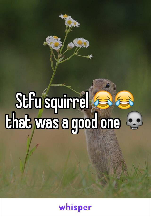 Stfu squirrel 😂😂that was a good one 💀