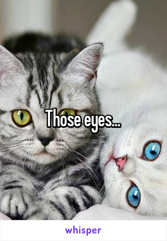 Those eyes... 