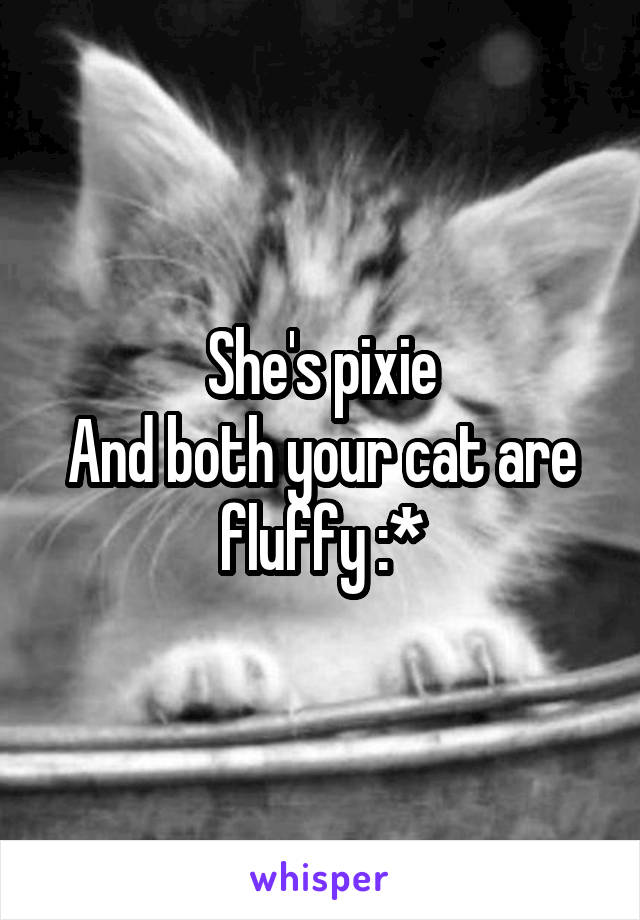 She's pixie
And both your cat are fluffy :*