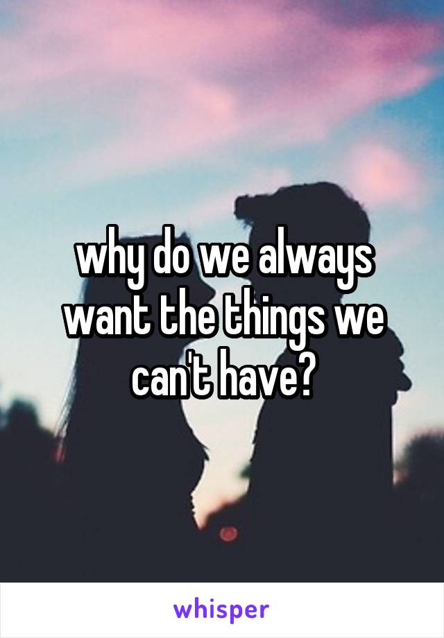 why do we always want the things we can't have?