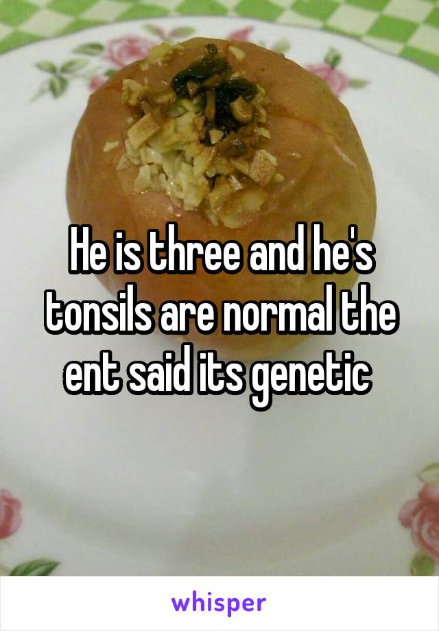 He is three and he's tonsils are normal the ent said its genetic 