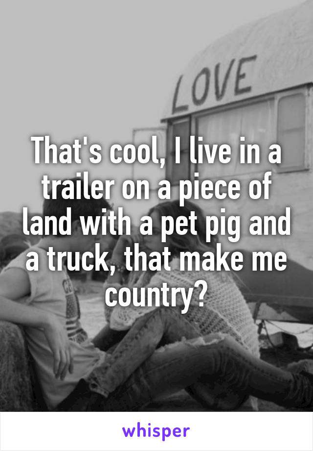 That's cool, I live in a trailer on a piece of land with a pet pig and a truck, that make me country?