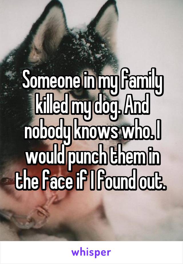 Someone in my family killed my dog. And nobody knows who. I would punch them in the face if I found out. 