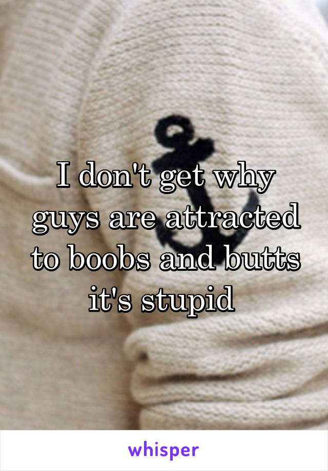I don't get why guys are attracted to boobs and butts it's stupid 