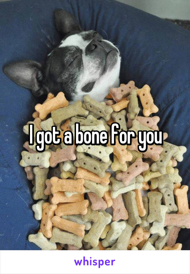 I got a bone for you