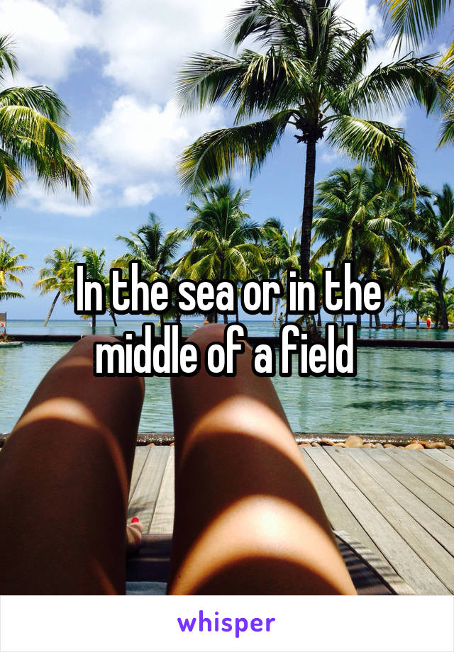 In the sea or in the middle of a field 