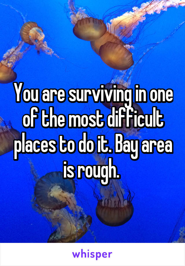 You are surviving in one of the most difficult places to do it. Bay area is rough. 