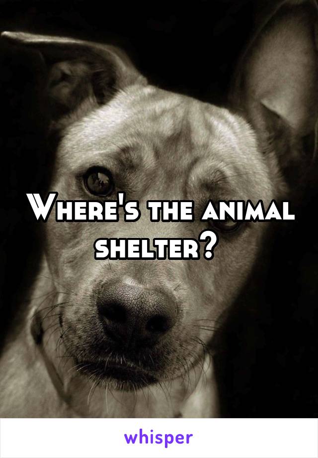 Where's the animal shelter? 