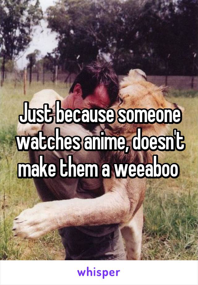 Just because someone watches anime, doesn't make them a weeaboo 
