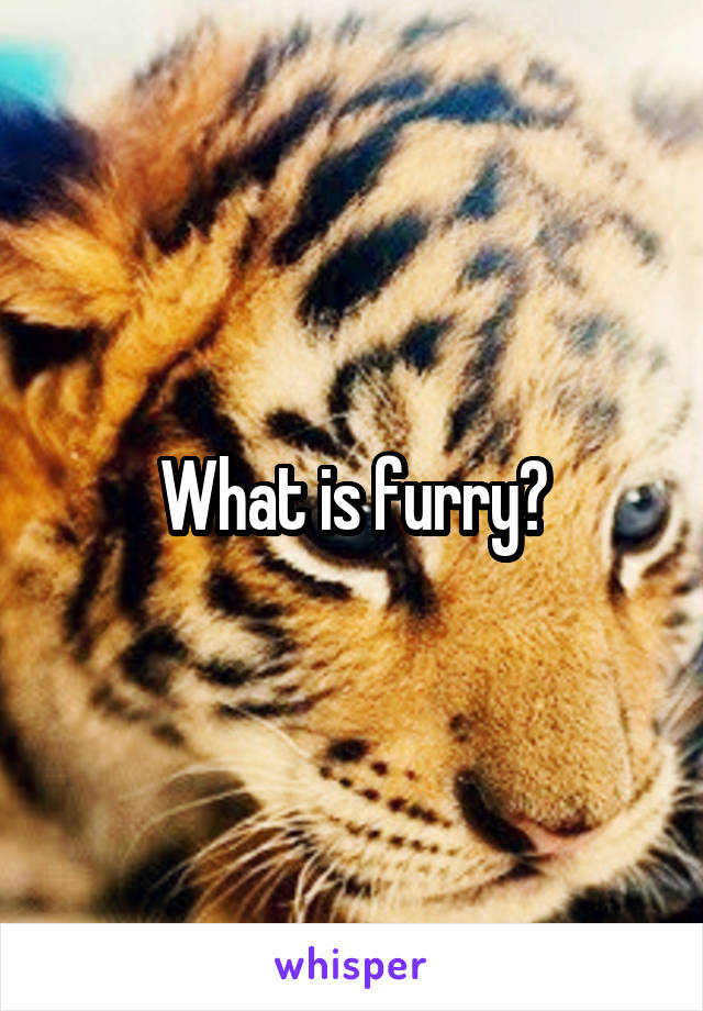 What is furry?