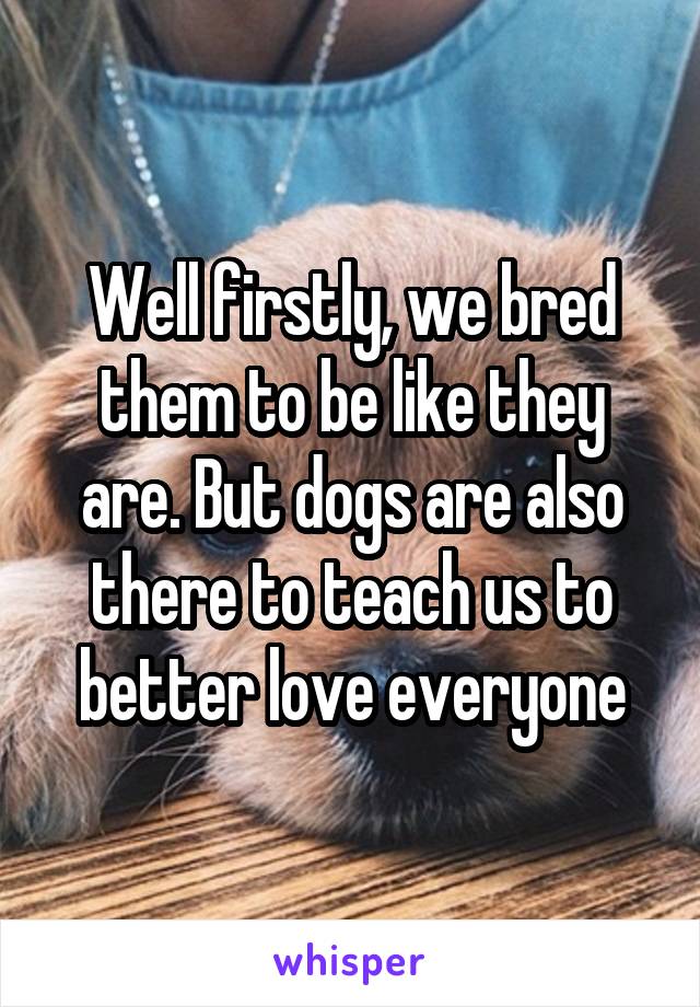 Well firstly, we bred them to be like they are. But dogs are also there to teach us to better love everyone