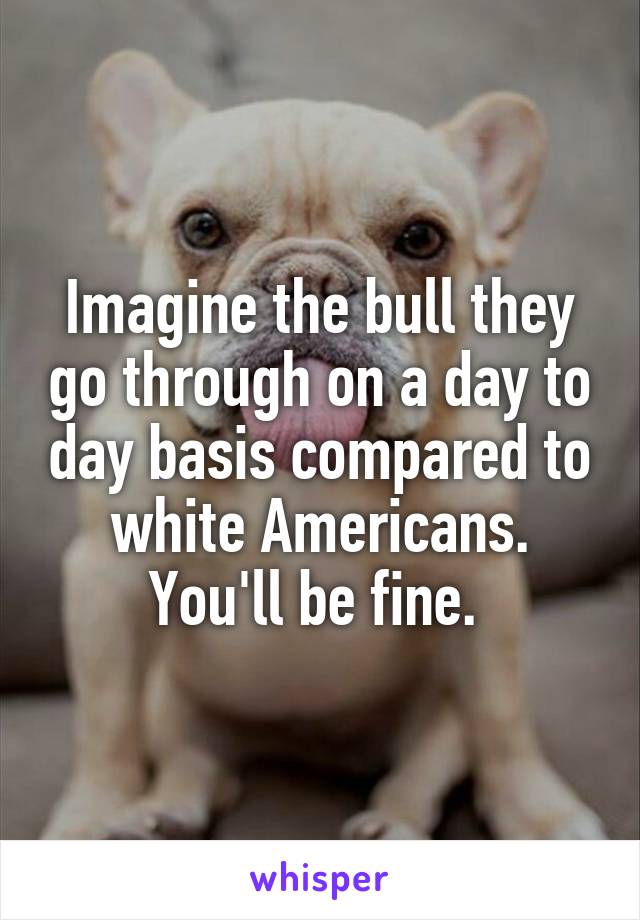 Imagine the bull they go through on a day to day basis compared to white Americans. You'll be fine. 