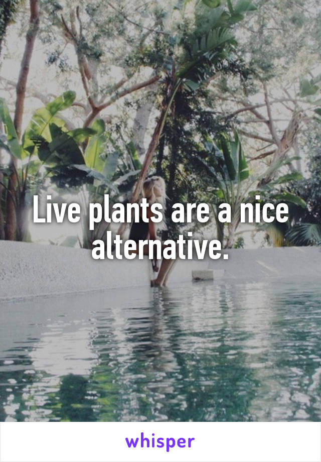Live plants are a nice alternative.