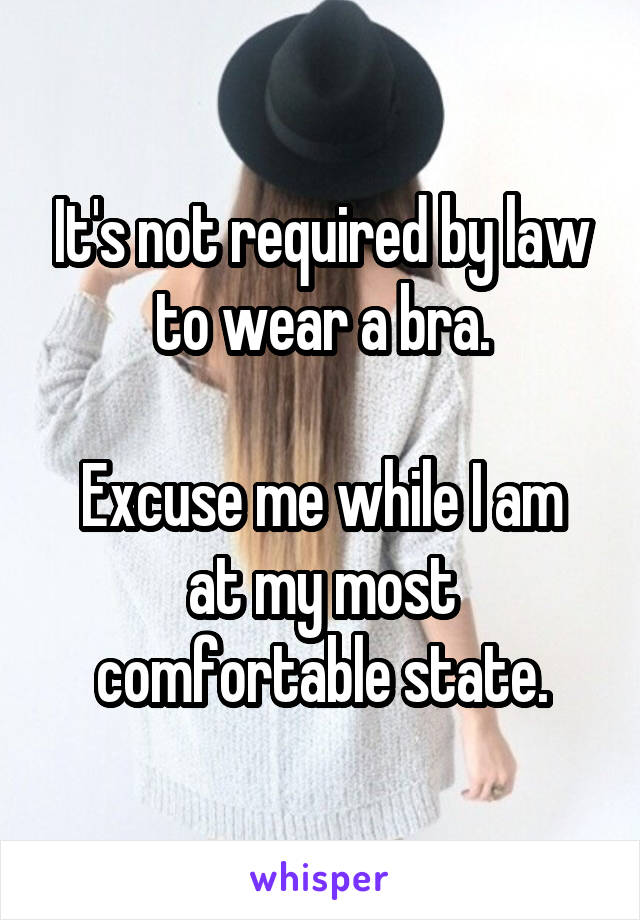 It's not required by law to wear a bra.

Excuse me while I am at my most comfortable state.