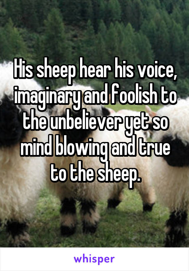 His sheep hear his voice, imaginary and foolish to the unbeliever yet so mind blowing and true to the sheep.
