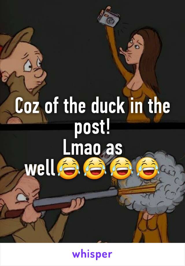 Coz of the duck in the post!
Lmao as well😂😂😂😂