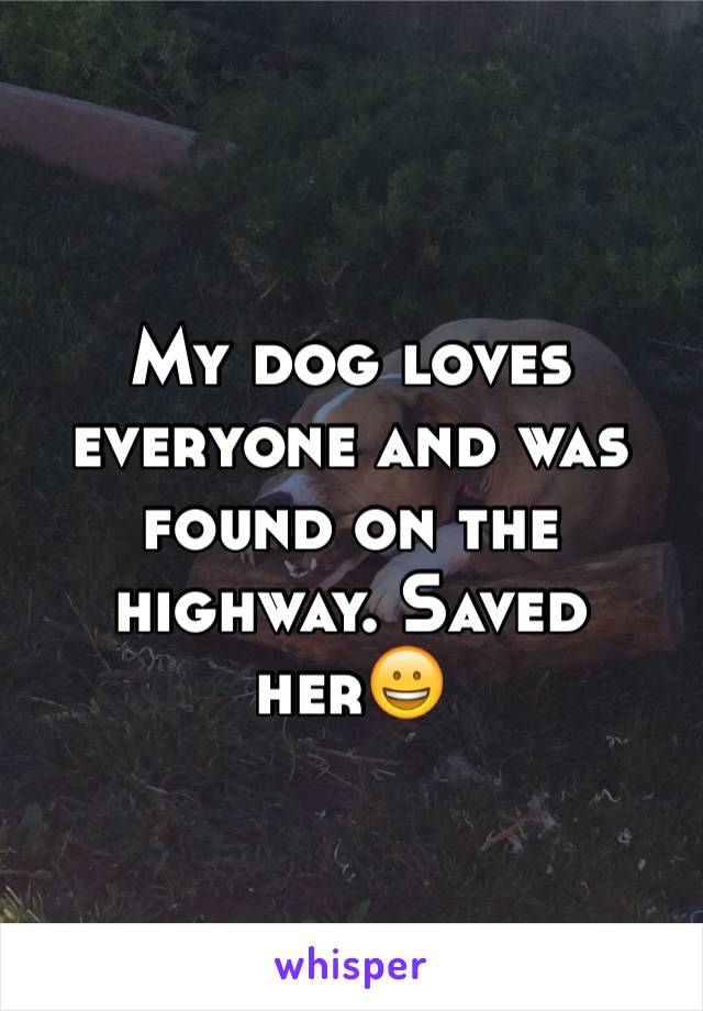 My dog loves everyone and was found on the highway. Saved her😀