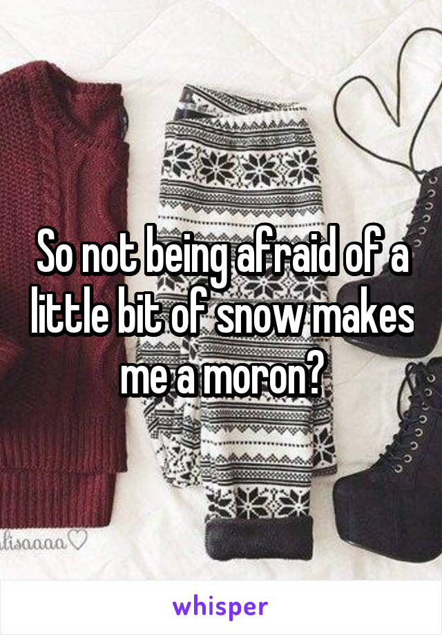 So not being afraid of a little bit of snow makes me a moron?