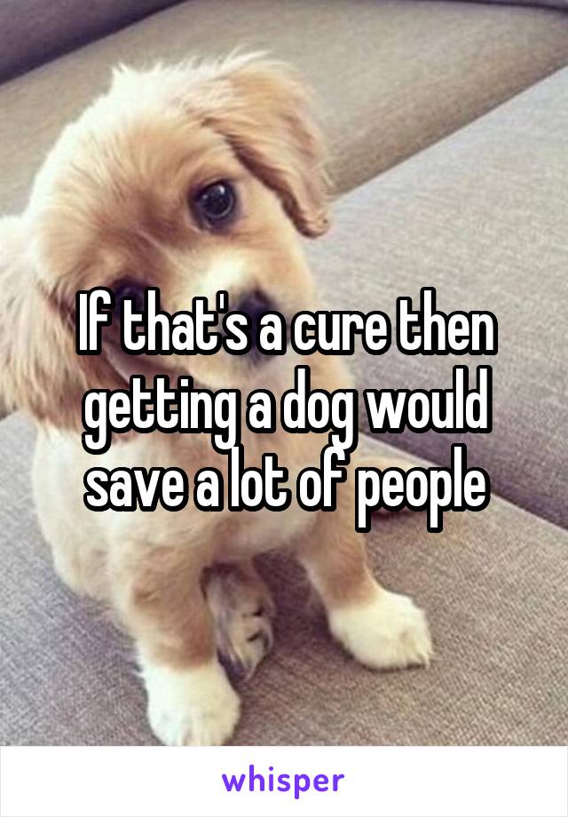 If that's a cure then getting a dog would save a lot of people