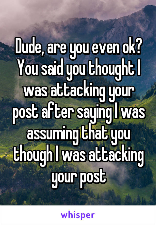 Dude, are you even ok? You said you thought I was attacking your post after saying I was assuming that you though I was attacking your post