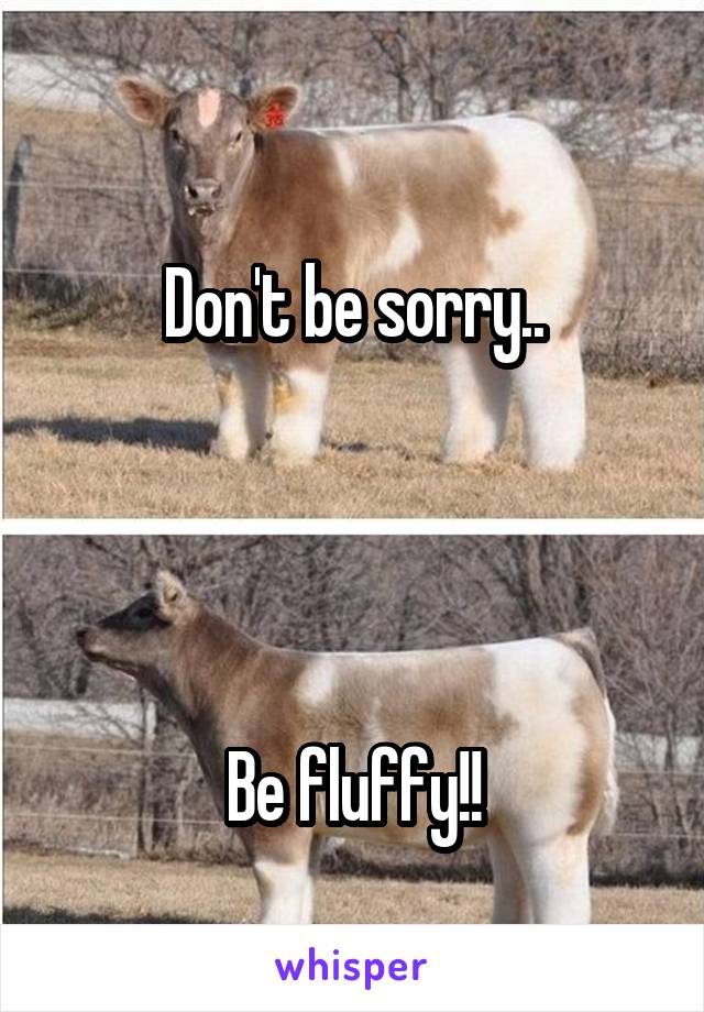 
Don't be sorry..




Be fluffy!!