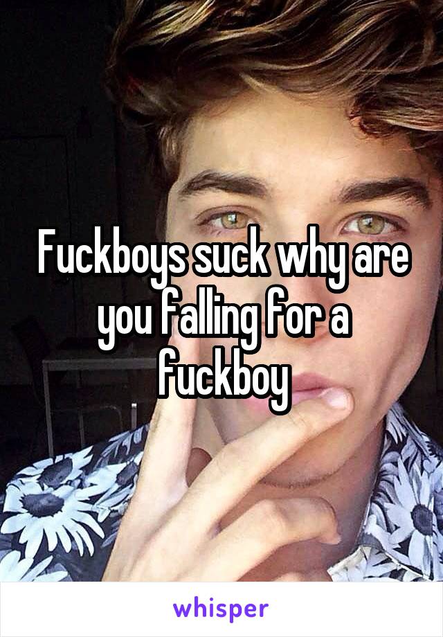 Fuckboys suck why are you falling for a fuckboy