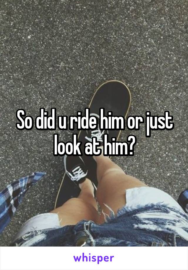 So did u ride him or just look at him?