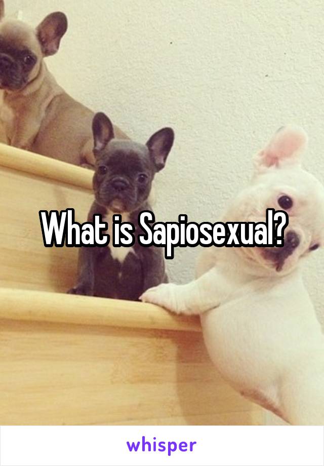 What is Sapiosexual?