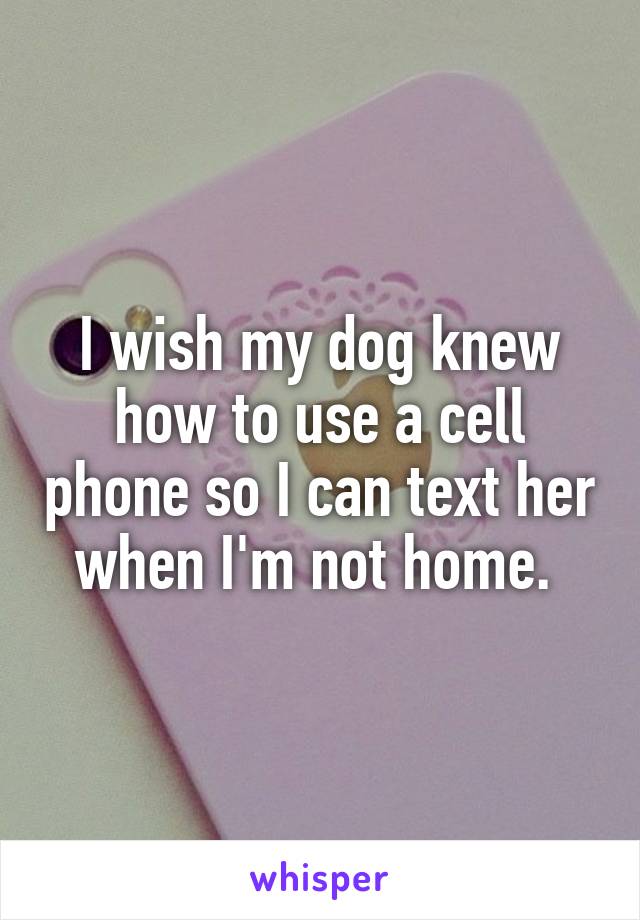 I wish my dog knew how to use a cell phone so I can text her when I'm not home. 