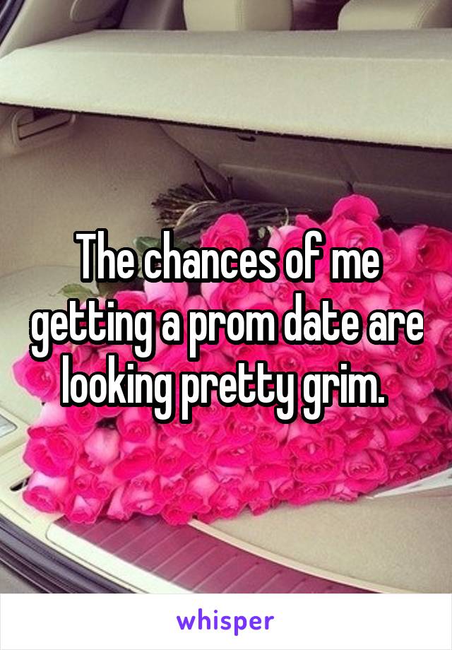 The chances of me getting a prom date are looking pretty grim. 
