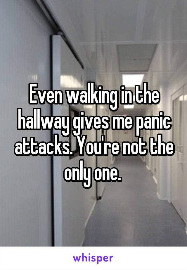 Even walking in the hallway gives me panic attacks. You're not the only one. 