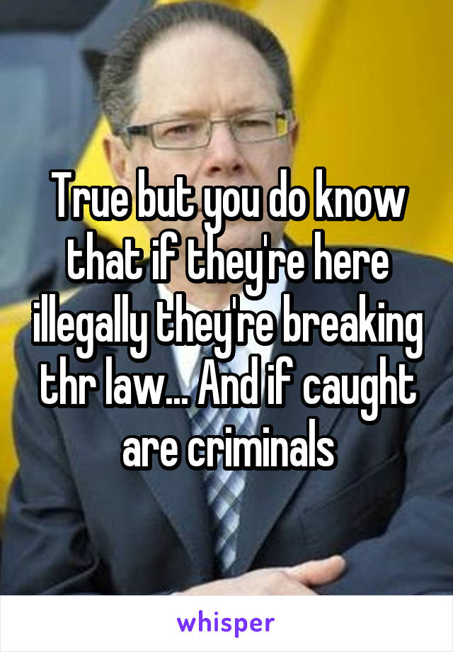 True but you do know that if they're here illegally they're breaking thr law... And if caught are criminals